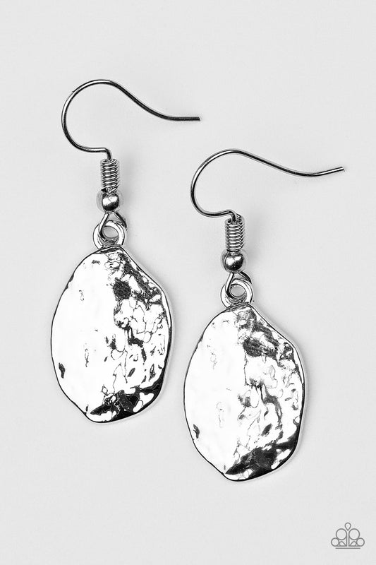 Terra Treasure - Silver Fish Hook Earrings